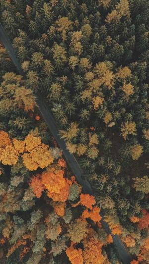 聂小雨视频黑料全程截图4