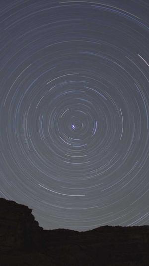 柯基可以吃哈密瓜吗截图5