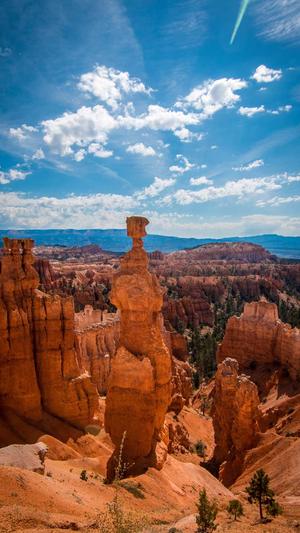 黑料影帝,养崽爆红截图3