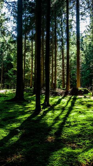 在线吃瓜网截图3