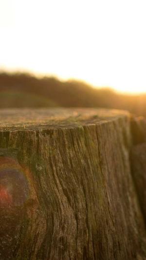 黑料网 - 黑料大事记截图1