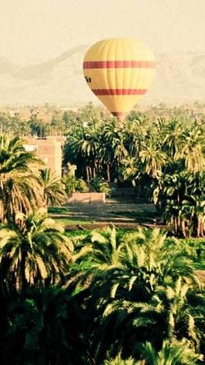 在线吃瓜网截图2