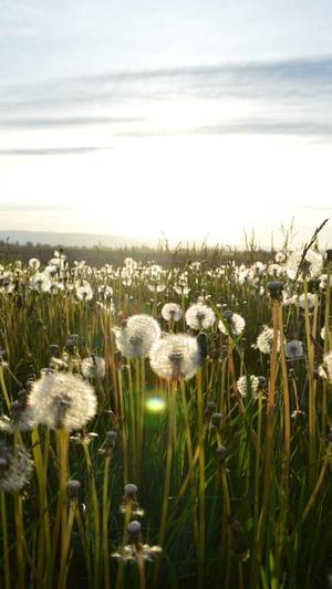 黑料正能量小视频截图2