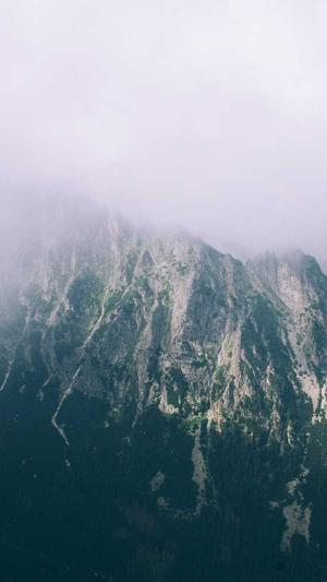 哈密瓜怎么热着吃截图4