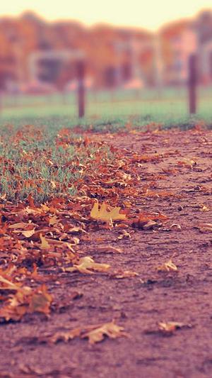 杨清柠的黑料截图2