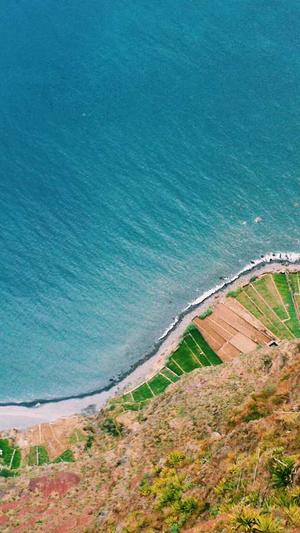 哈密瓜和香蕉能一起吃吗截图3