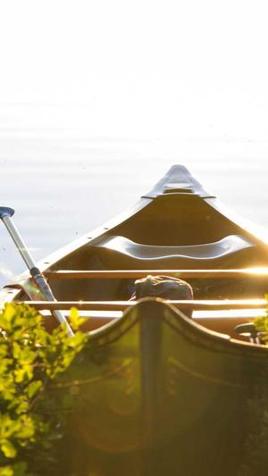 吃瓜的公众号推荐截图5