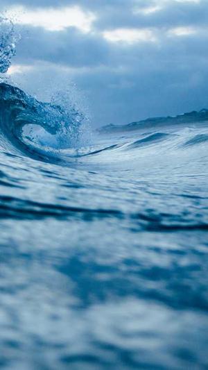 吃瓜曝光黑料155fun截图1