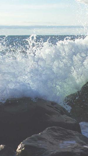 蛋挞小屁孩黑料截图3