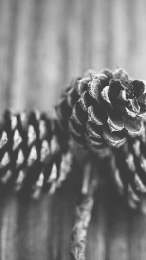 黑料不打烊zztt09截图3