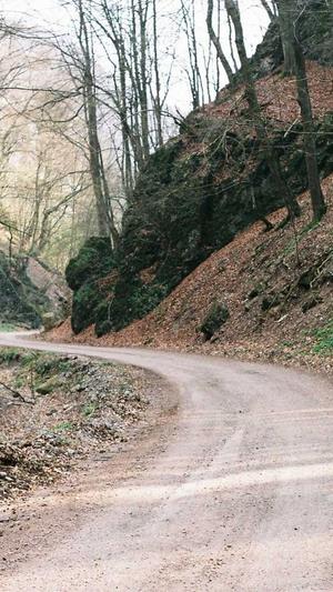 土瓜孕妇可以吃吗截图3