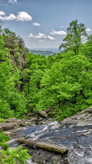 猪小七黑料截图3