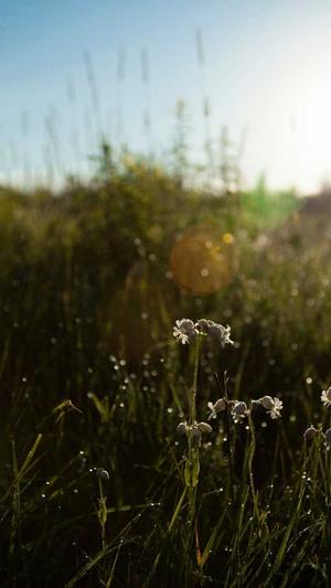 今日吃瓜51cg热门大瓜首页截图5