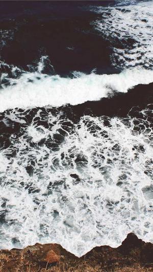 怀孕两个月可以吃哈密瓜吗截图2