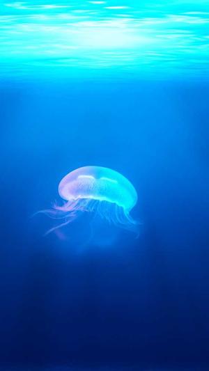 痞幼黑料是什么怎么找截图5