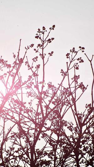 黑料永久传送门截图5