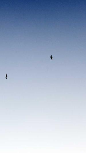 黑料正能量不打烊截图5