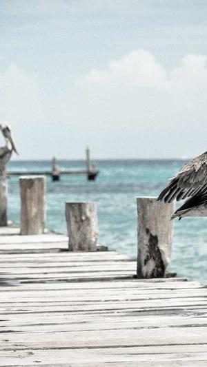 经期可以吃哈密瓜么截图3