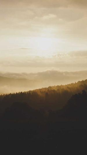 zztt15黑料不打烊截图1