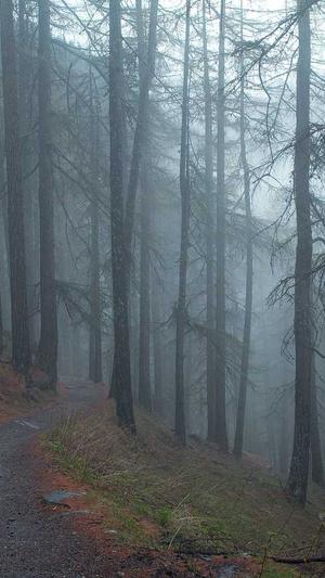 芒果和哈密瓜可以一起吃吗截图1