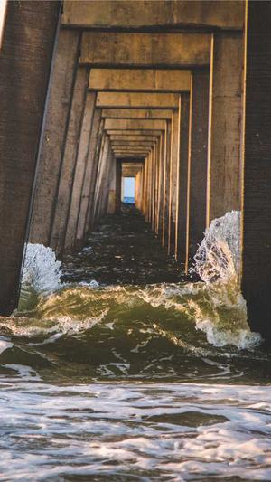 孕妇吃吊瓜的禁忌截图1