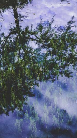 吃瓜群众表示瓜都掉了截图1