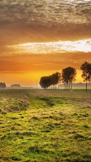 51吃瓜爆料2023截图4