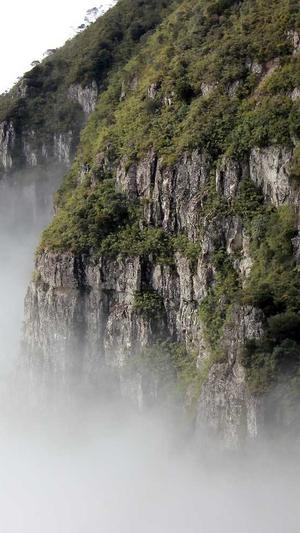 吃瓜群众 表情包截图1