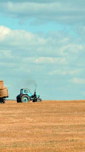 张馨月黑料截图2