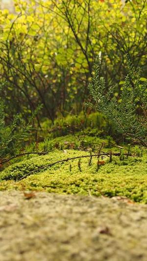 51吃瓜爆料截图3