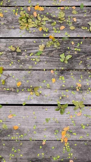 黑料不打烊tttzzz网址截图2