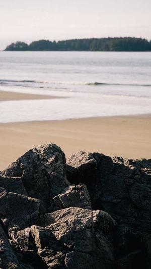 今日吃瓜51cg热门大瓜首页截图4