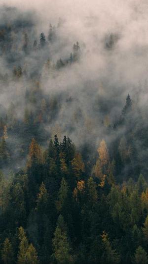 感冒可以吃哈密瓜吗截图4