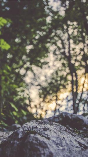 吃瓜落儿是什么意思截图2