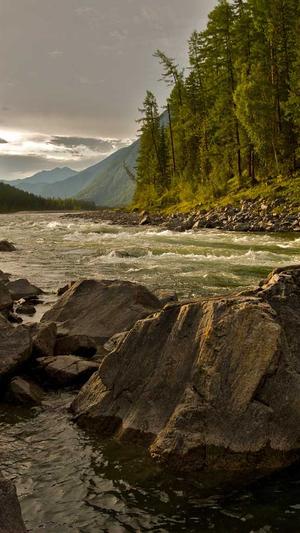 任嘉伦黑料截图4