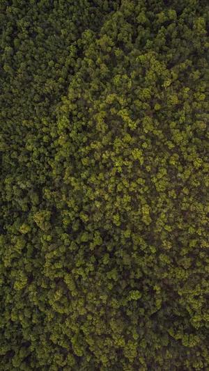 怀孕两个月可以吃哈密瓜吗截图3