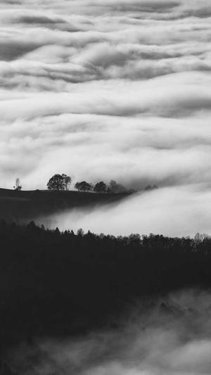 佛手瓜怎么吃最好截图5