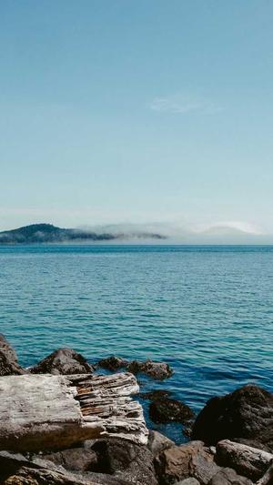 吃瓜直播app定制截图1