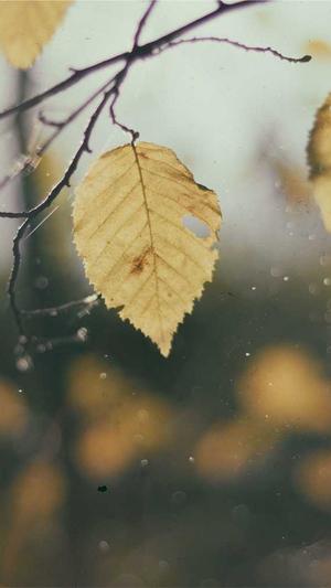 黑料不打烊 最新截图1