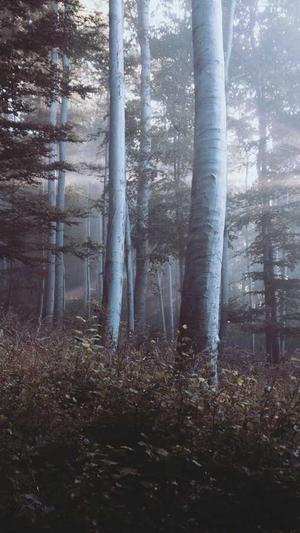 网曝黑料吃瓜截图2